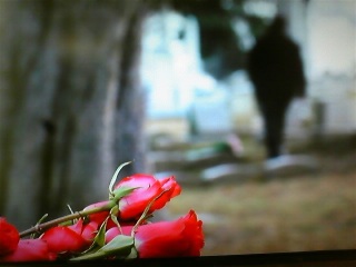 �X�v���b�g�f�V�W����