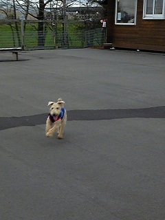 ���N�̍���