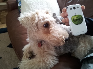 ����ɍ��킹�܂���