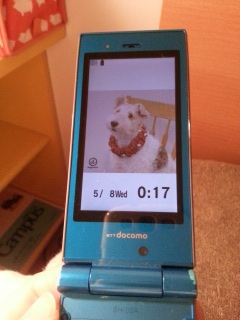 ��ς����b�ɂȂ�܂���