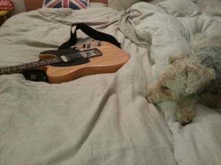 ��񂱂ƃM�^�[